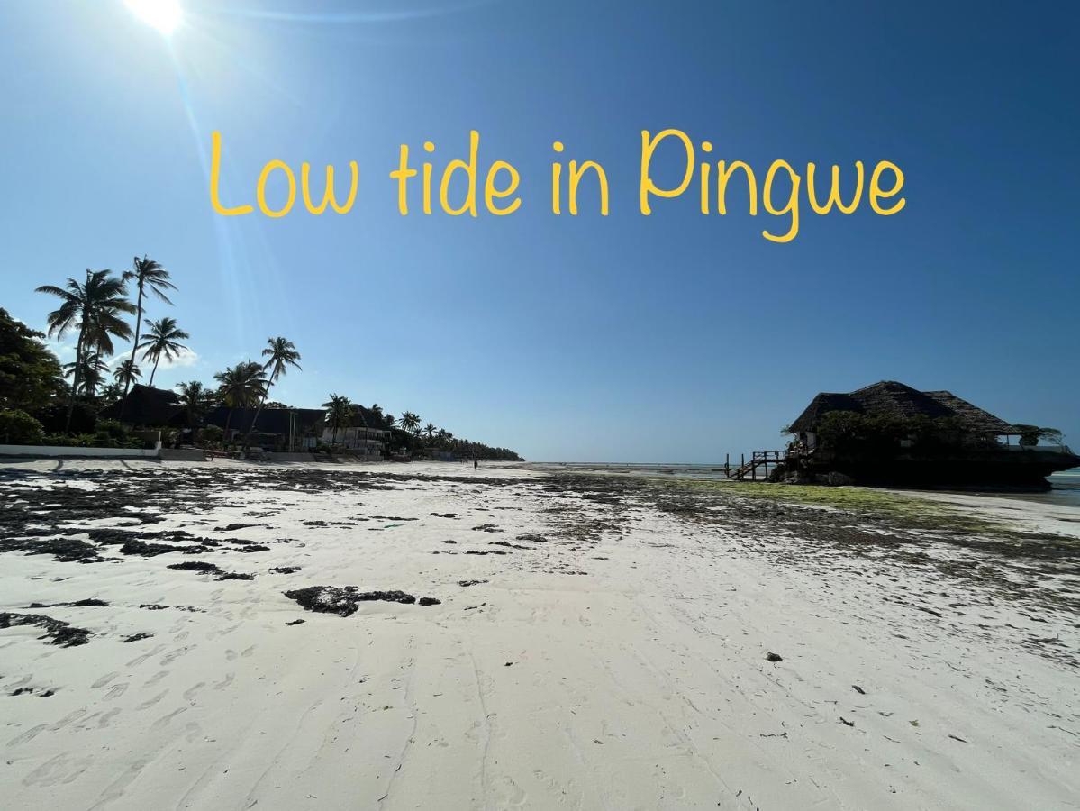 Tropical Boutique Hotel & Resto Pingwe Exterior foto